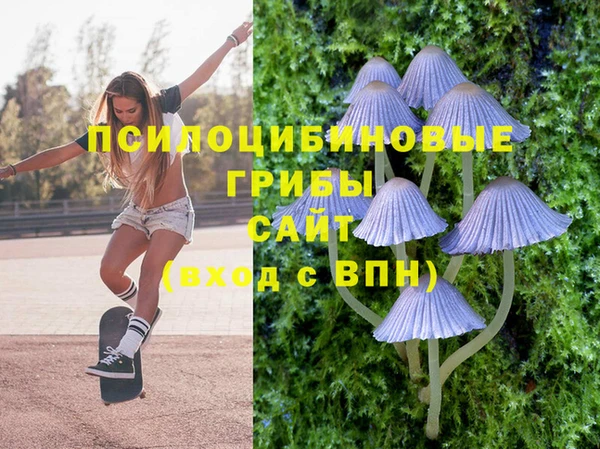 тгк Аркадак