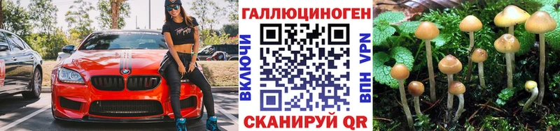 Галлюциногенные грибы мухоморы  KRAKEN   Руза 